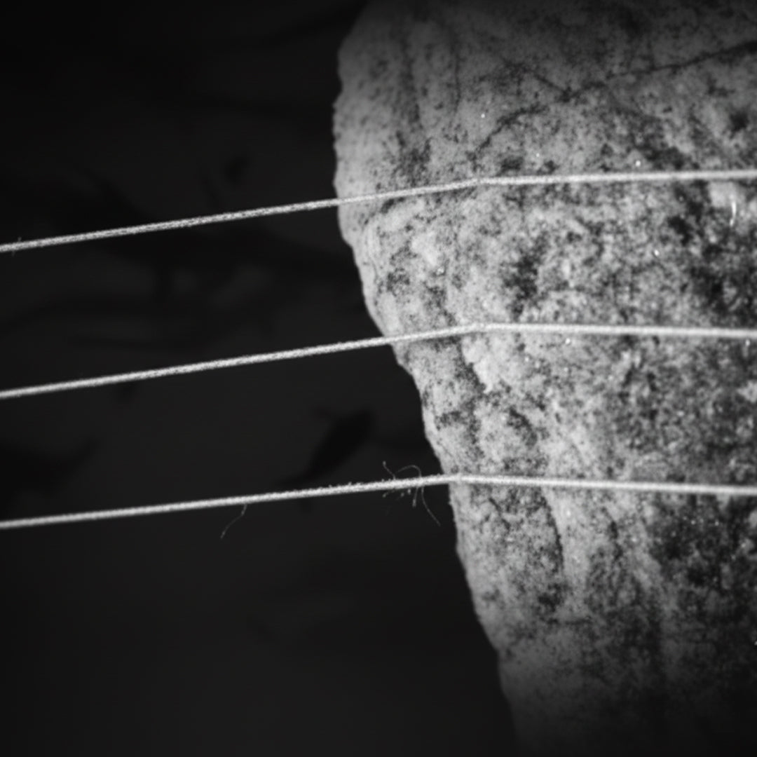Senar Paradise Predator Monofilament 150M
